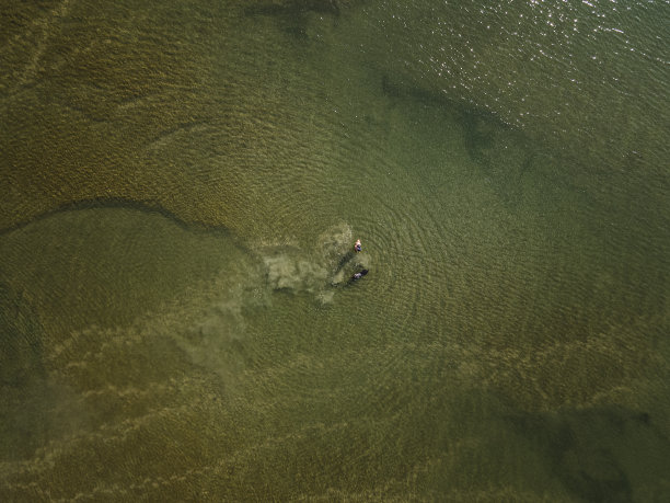 地球的抽象鸟瞰图。辫状河。图片下载