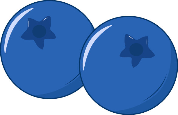 两个新鲜的蓝莓图片下载