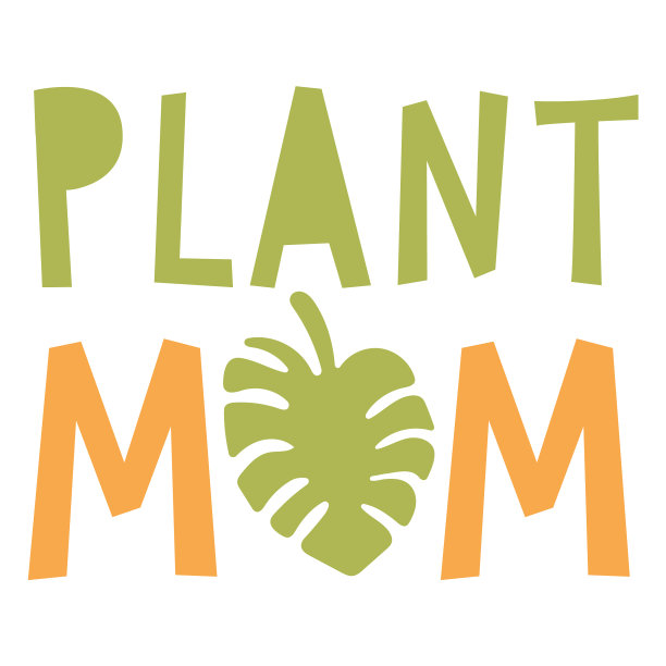 植株妈妈平品质高图片下载