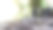 子叶植物瓜图片下载