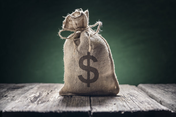 带有美元符号的钱袋图片下载