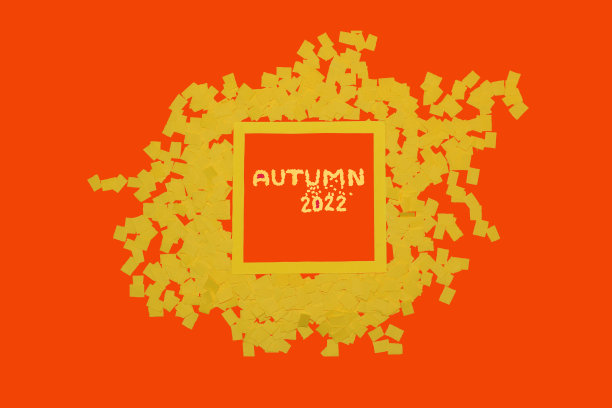 橘黄色的底色，黄色的边框表示2022年秋天，创意的艺术设计，时尚的秋天颜色图片下载