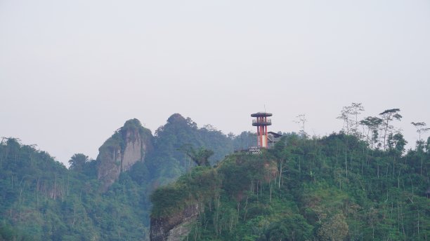 山上长满了树木，茂密的森林上建有一座塔图片下载