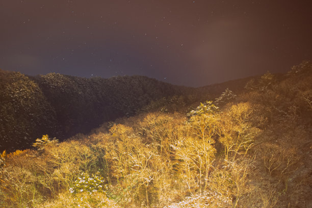 日本的深山和森林在夜晚下雪图片下载