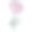 牡丹花色描质高图片下载