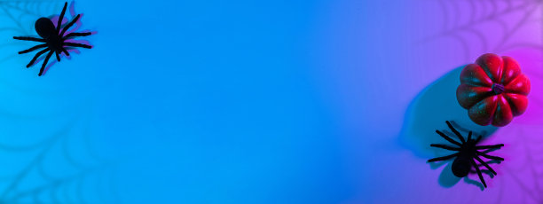 万圣节派对。黑色的夜蜘蛛，可怕的幽灵南瓜夜霓虹灯的万圣节背景。万圣节快乐的概念。框架。拷贝空间，平铺。图片下载