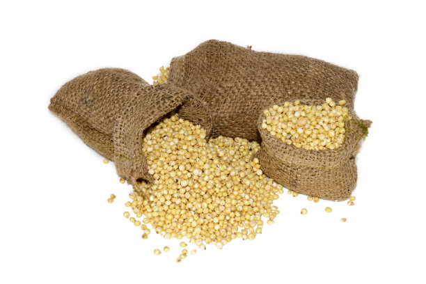 高粱种子图片下载