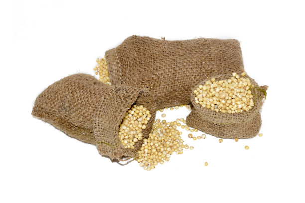 高粱种子图片下载