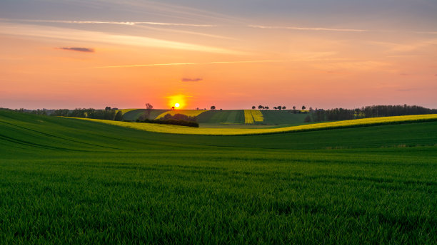 日落时的田野景色图片下载