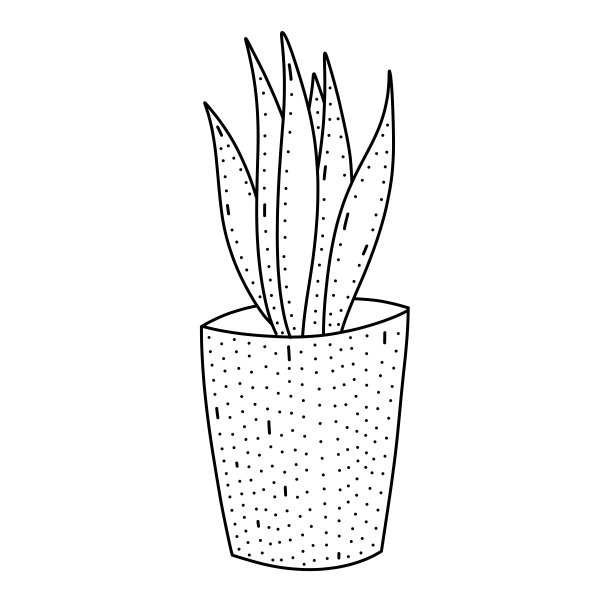 手绘矢量插画可爱的盆栽植物。可爱的插画植物在白色背景涂鸦风格。图片下载