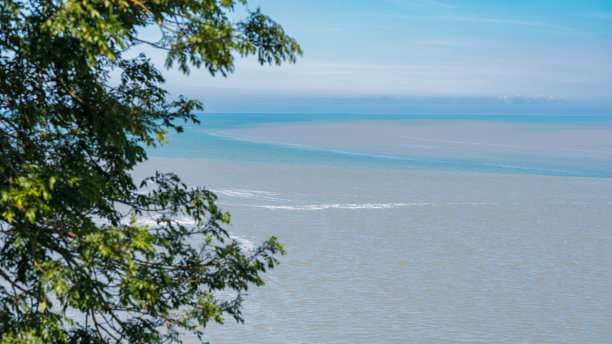 海洋水景观与树在前景和天空在背景聚焦图片下载
