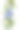 蓝色李子在分枝上孤立在白色上图片下载
