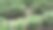 关闭棉花种植图片下载