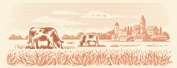 有奶牛的村庄和景观农场图片下载