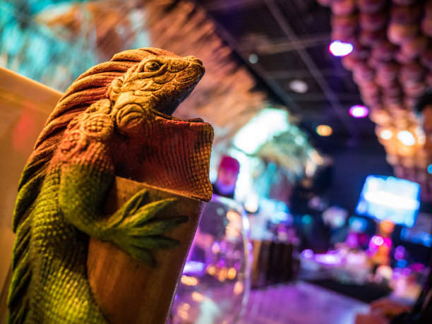 台北俱乐部的鬣蜥装饰，霓虹灯照明，特写图片下载