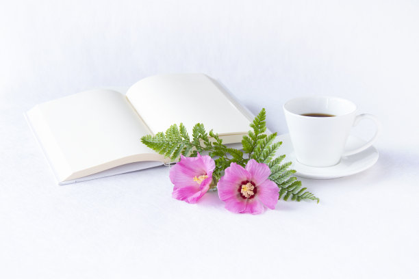 粉红芙蓉花束，书籍和咖啡图片下载