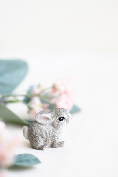 可爱的兔子卡片图片下载