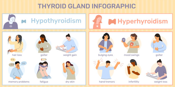 人类甲状腺信息图图片下载