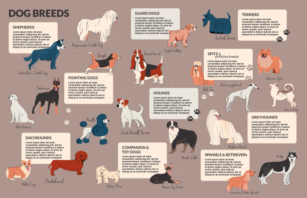 狗狗繁殖涂鸦信息图图片下载