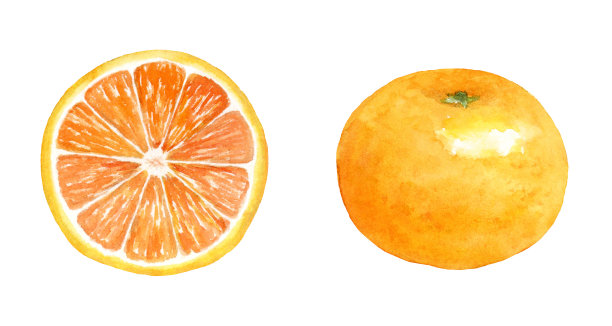 水彩画插画的橙色图片下载