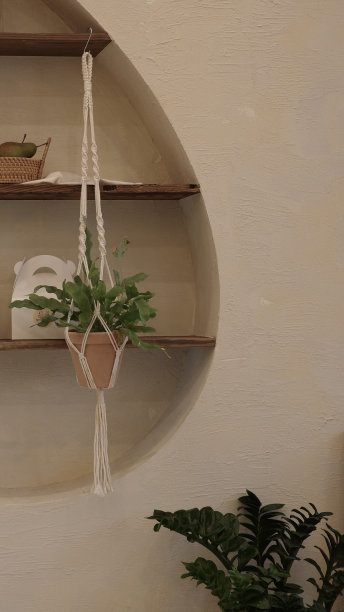 后面悬挂着植物和木架子图片下载