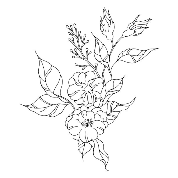 插花线条艺术品质高图片下载