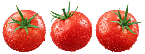 在白色背景上分离的湿红番茄图片下载