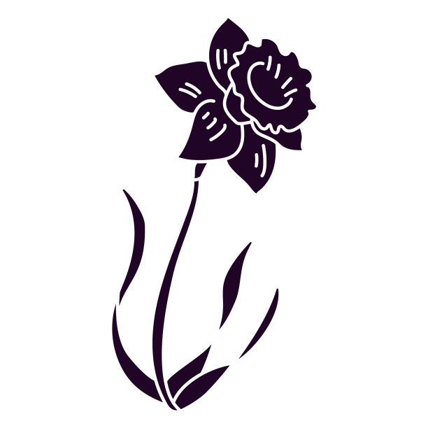 剪下的水仙花图片下载