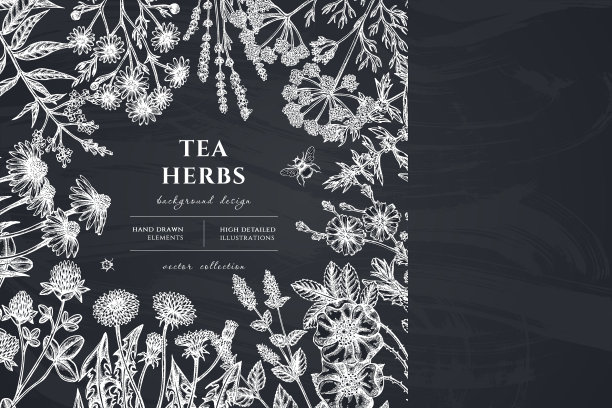茶草药手绘设计图片下载