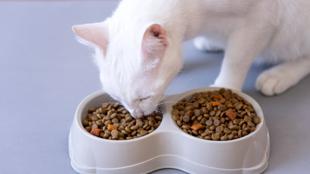 狗或猫的食物。白底隔离的酱肉罐头和干杂粮食品。图片下载