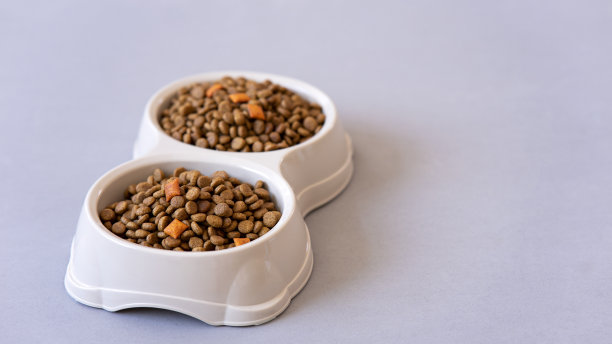 狗或猫的食物。白底隔离的酱肉罐头和干杂粮食品。图片下载