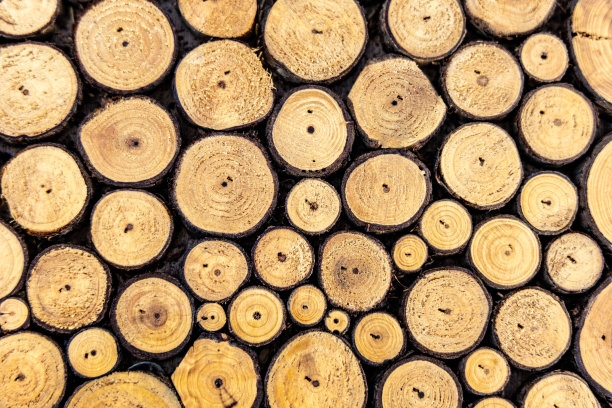 以堆叠的原木为背景的墙图片下载