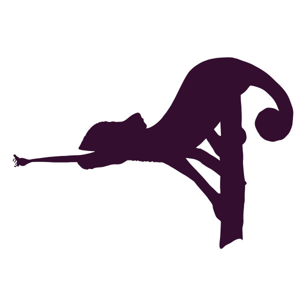 变色龙抓虫子的剪影图片下载