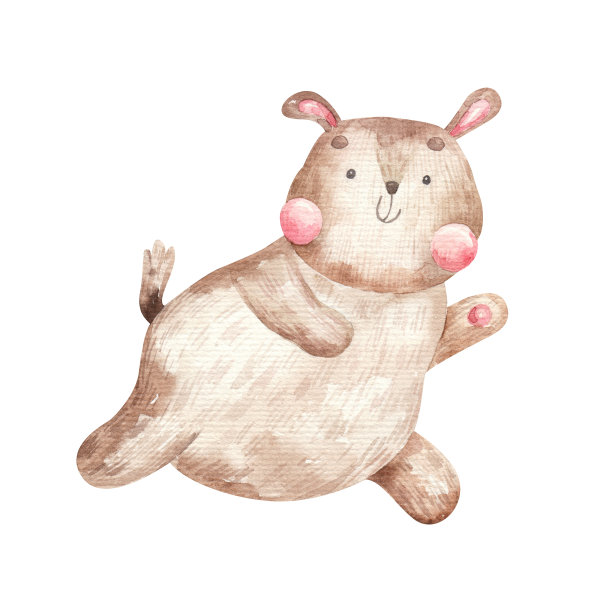 可爱有趣的动物，幼稚的水彩插图在白色的背景图片下载