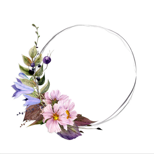 水彩画框布置，手绘秋花枝叶。孤立在白色背景。设计邀请，婚礼或贺卡，墙纸，印刷，纺织品图片下载