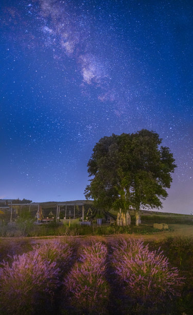世界上最美丽的宇航员照片(恒星、银河系、流星)图片下载