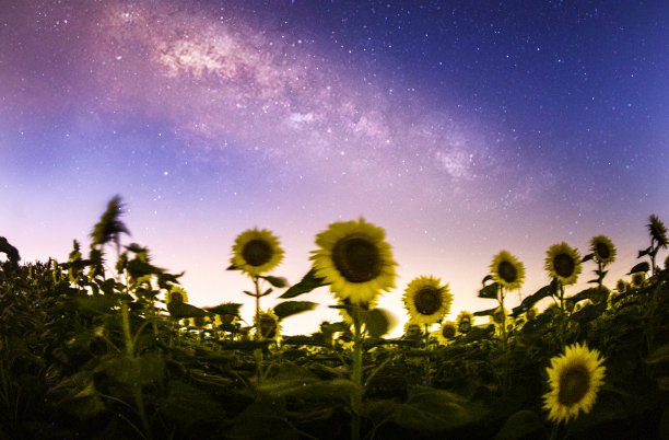 世界上最美丽的宇航员照片(恒星、银河系、流星)图片下载