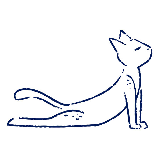 瑜伽猫中风图片下载