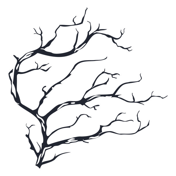 分支切断图片下载