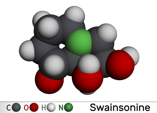 Swainsonine, tridolgosir分子。它是来源于植物Swainsona的吲哚利西定生物碱，具有免疫调节活性。分子模型。三维渲染图片下载