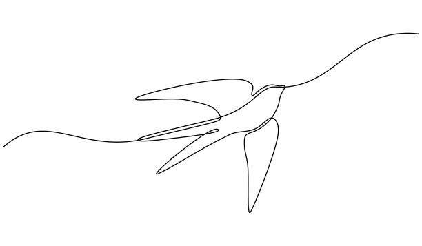 燕子单线飞行的风格。图片下载