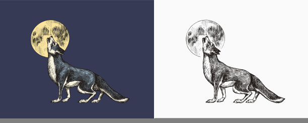 灰太狼咆哮。一只食肉野兽和月亮。森林野生动物。矢量雕刻手绘复古的老素描邮票，t恤或印刷或徽章。图片下载