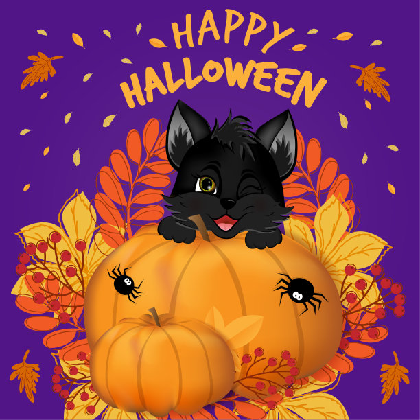 万圣节快乐的明信片。可爱的小黑猫坐在南瓜上。图片下载