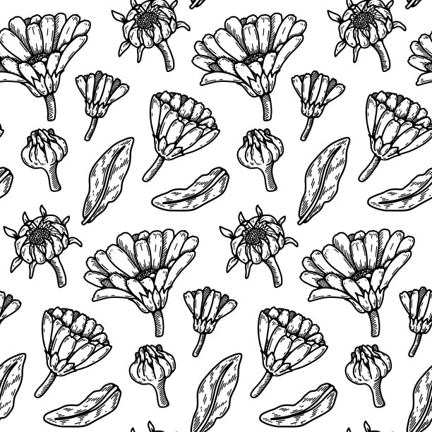 手工绘制的金盏花无缝图案。药用植物植物学设计。矢量插图在素描风格图片下载