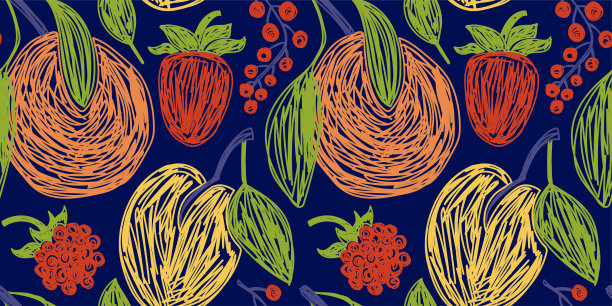 果束无缝图案。橘子、草莓、覆盆子和杏。颜色向量插图集。用钢笔或马克笔涂鸦图片下载