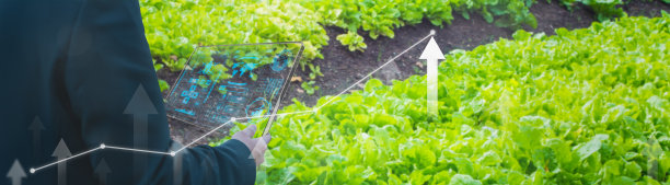 商业智能农民采用智能平板，农业生产控制，概念农产品控制技术，农业期货交易世界市场，跟踪生产力，农业卫星图片下载