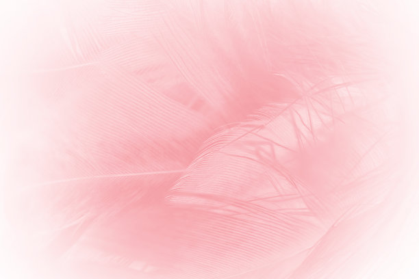 珊瑚粉复古颜色趋势羽毛纹理背景图片下载