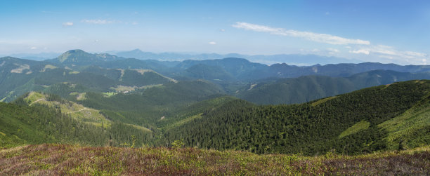 宽广的全景绿草丘陵和山坡在低塔特拉斯山脉的山脊徒步小径小径，山地草地，和松树灌丛，斯洛伐克，夏天阳光明媚的日子，蓝天的背景图片下载