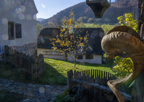 在特兰西瓦尼亚的一个院子里猎取战利品图片下载