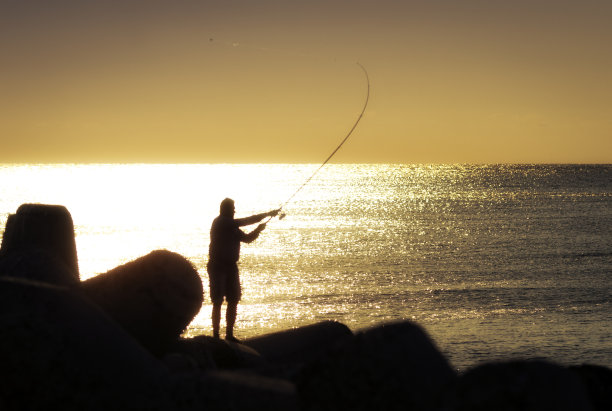菲赫尔曼图片下载